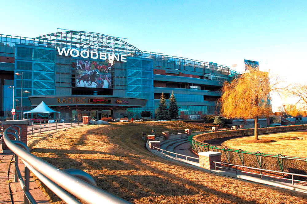 Woodbine casino limo service