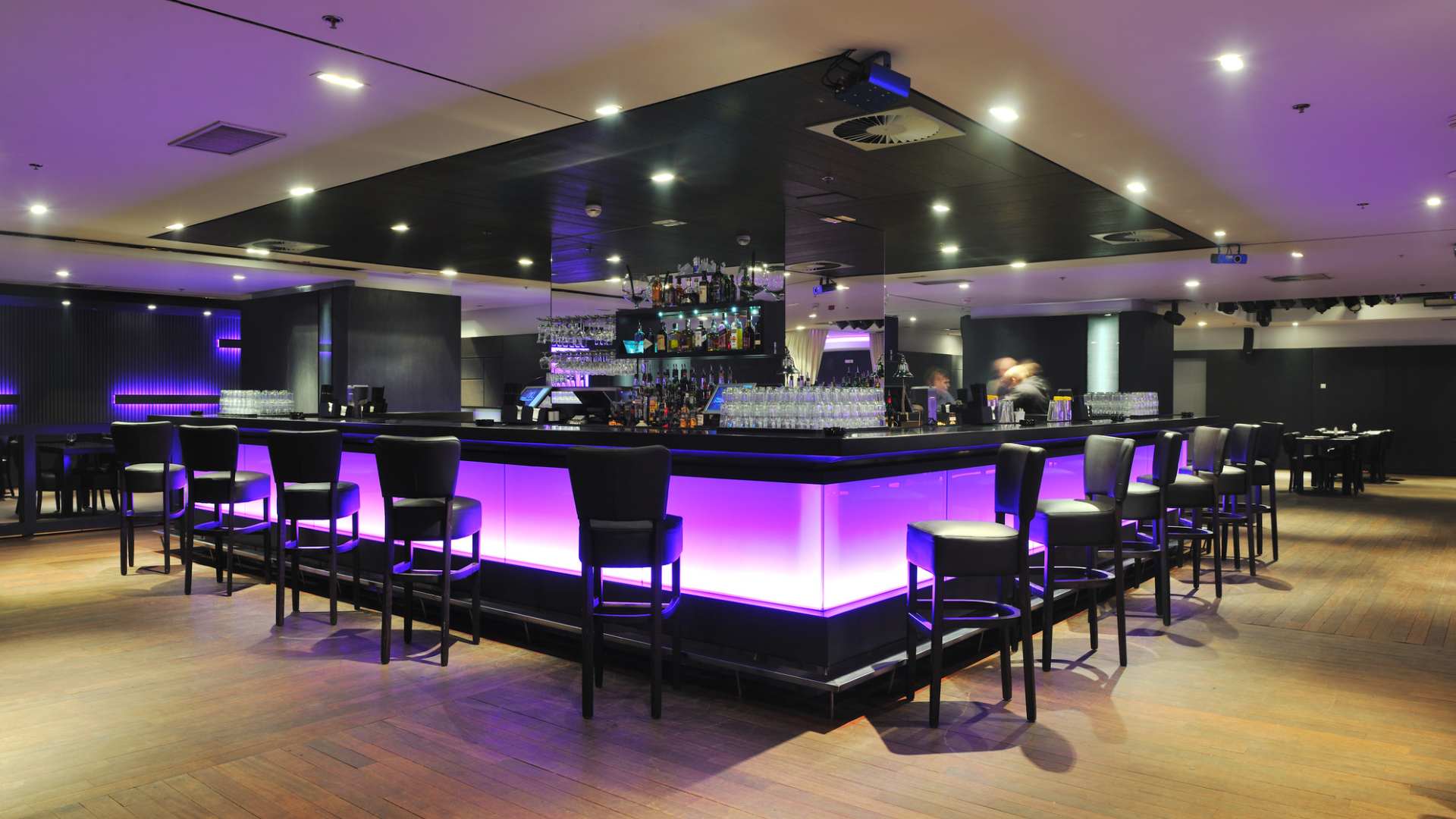 a canvas of nightlife dreams at rebel